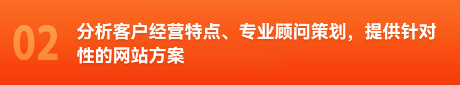 分析客户经营特点、专业顾问策划，提供针对性的网站方案